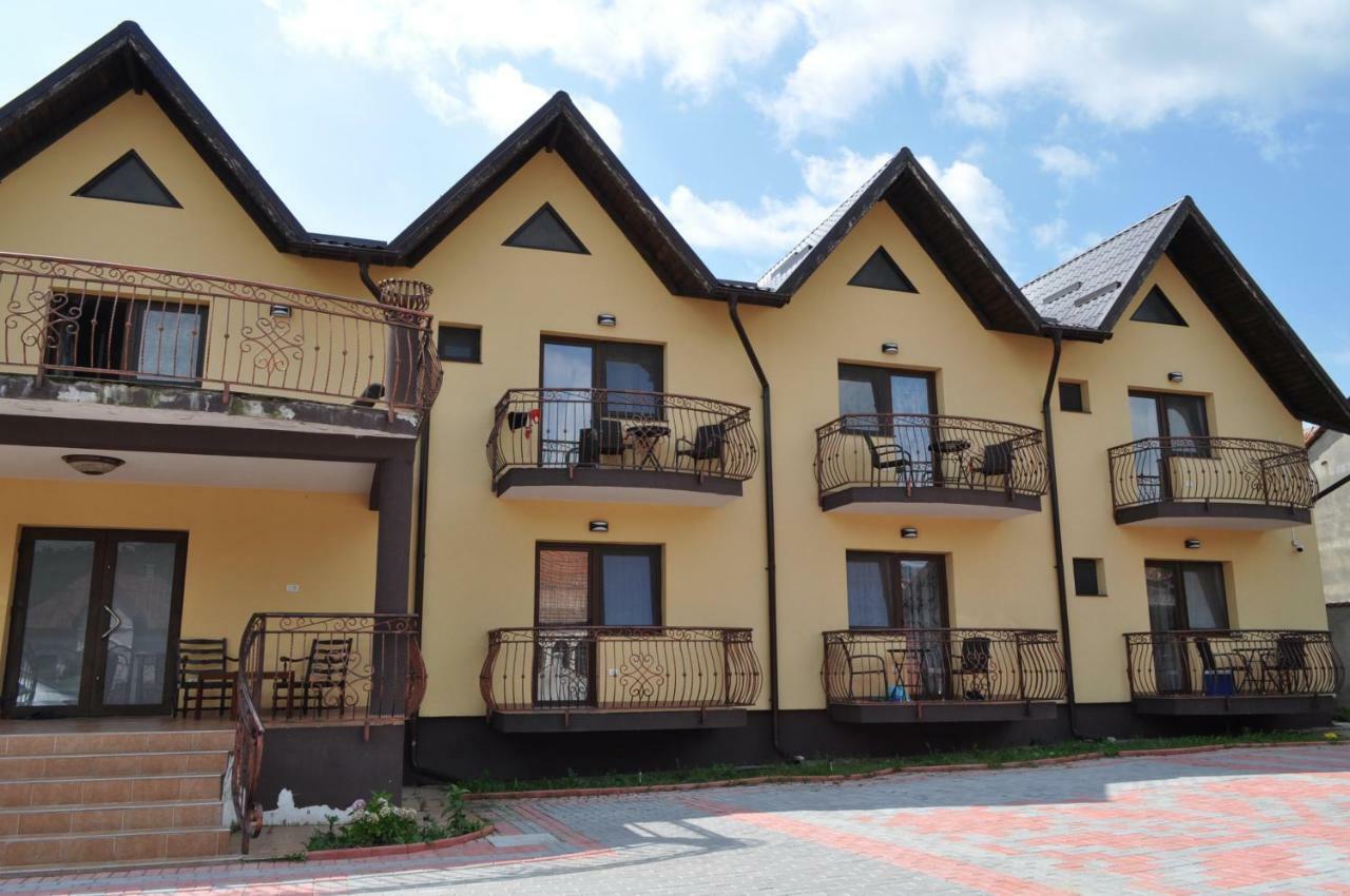 Vila Teoharie Ocnele Mari Zewnętrze zdjęcie